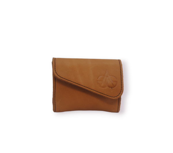 CARTERA DOLAR CAMEL